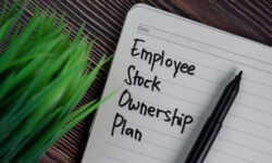 Are Unvested Stock Options Considered a Marital Asset in A Divorce?
